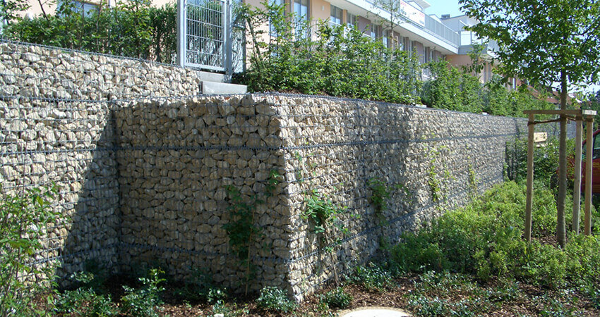 Pflanzen entlang der Gabionenmauer